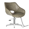 Dim Gray Comfortel Dawn Sage Styling Chair