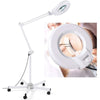 Light Gray K-Concept Magnifying Lamp