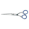 Dark Slate Gray Kiepe Formula Ergo-Anatomic Scissors - 5.5"