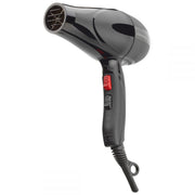 Dim Gray Gamma Absolute 2000 Dryer - Black