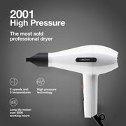 Dim Gray Elchim 2001 Hair Dryer - White