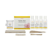 Light Gray Gigi Creme Wax Microwave Kit