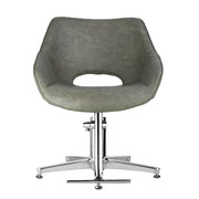 Dim Gray Comfortel Dawn Sage Styling Chair